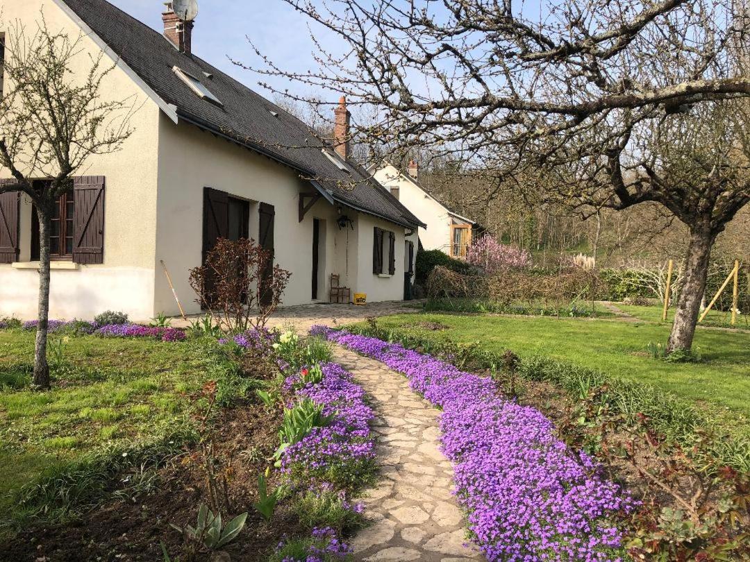 Le Clos Fleuri - Chambres D'Hotes Onzain Exterior foto